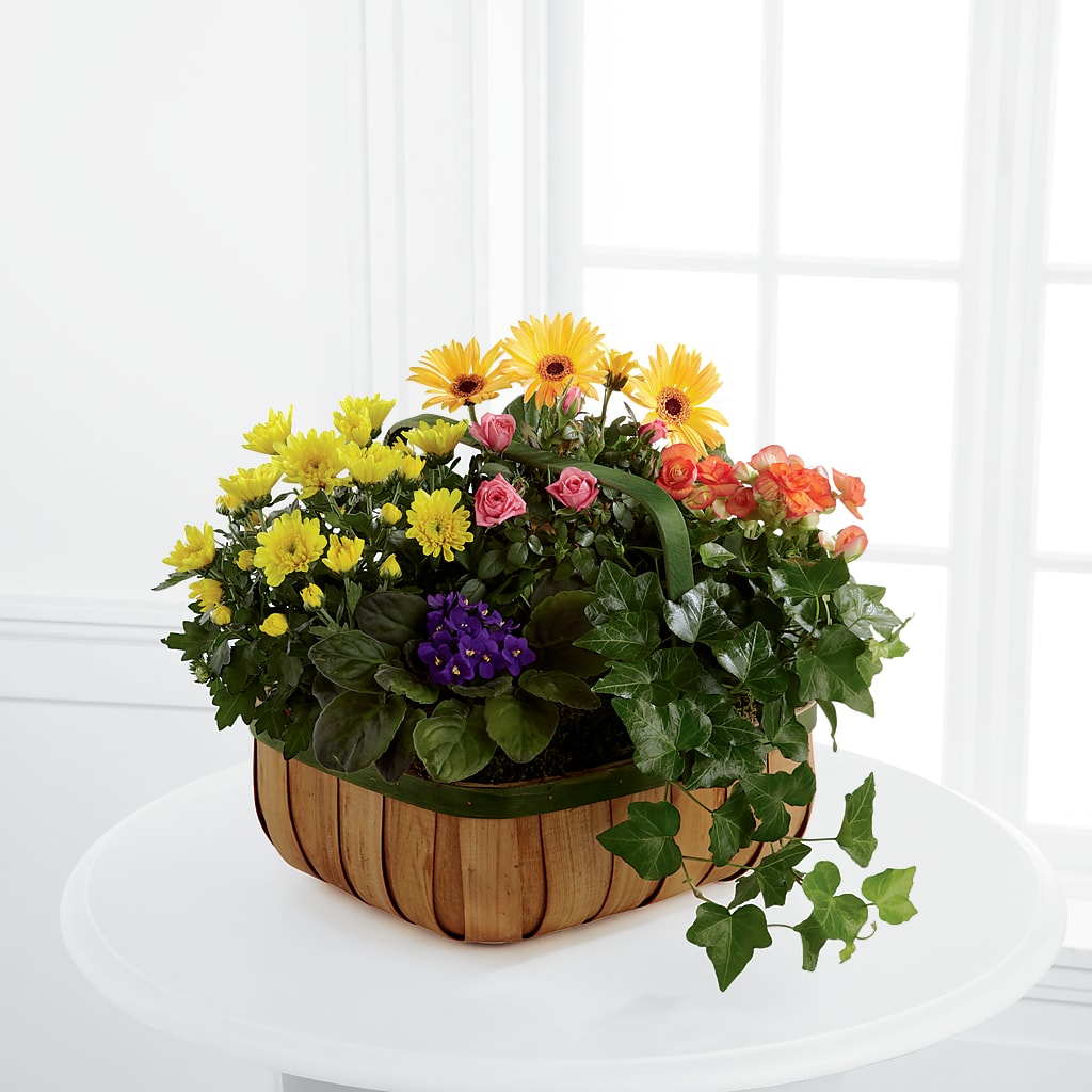 Gentle Blossoms Basket – United Market Street, Lubbock TX