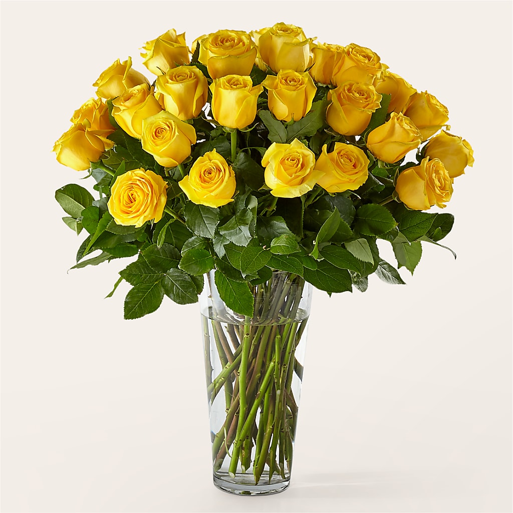 Long Stem Yellow Rose Bouquet – United Market Street, Lubbock TX