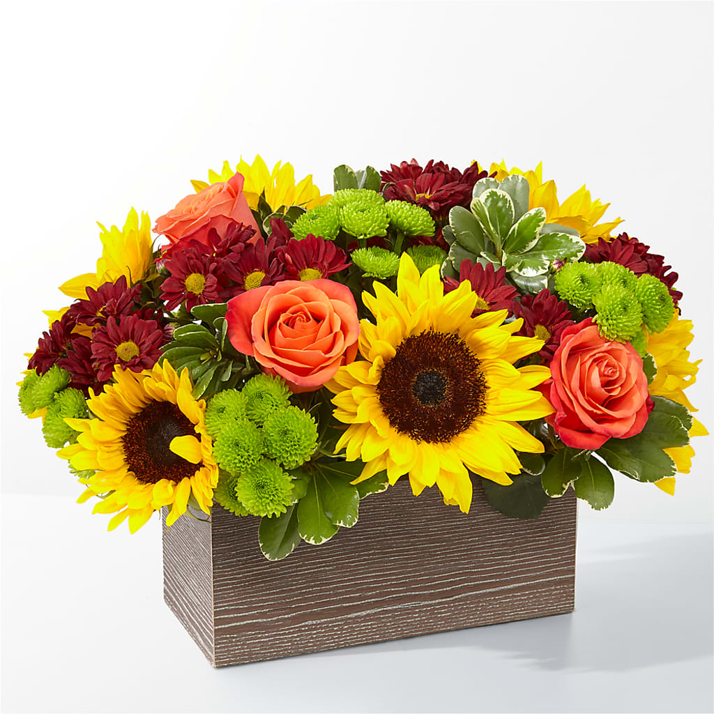 Happy Harvest Garden – United Market Street, Lubbock TX