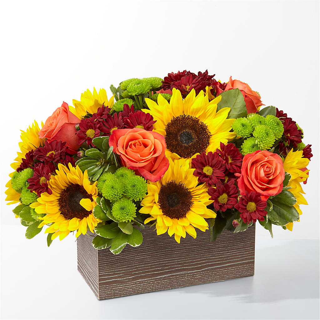 Happy Harvest Garden – United Market Street, Lubbock TX