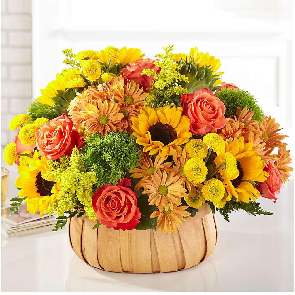 Harvest Sunflower Basket – United Market Street, Lubbock TX