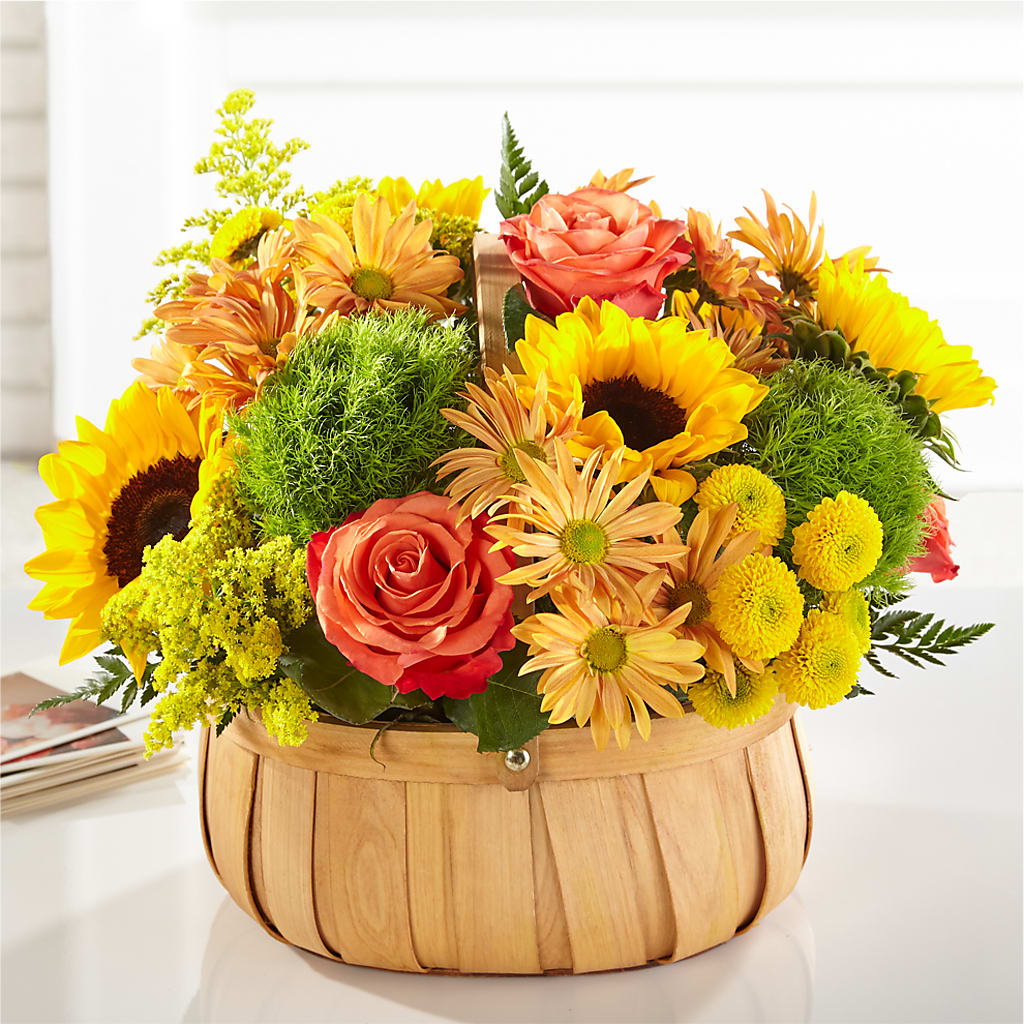 Harvest Sunflower Basket – United Market Street, Lubbock TX