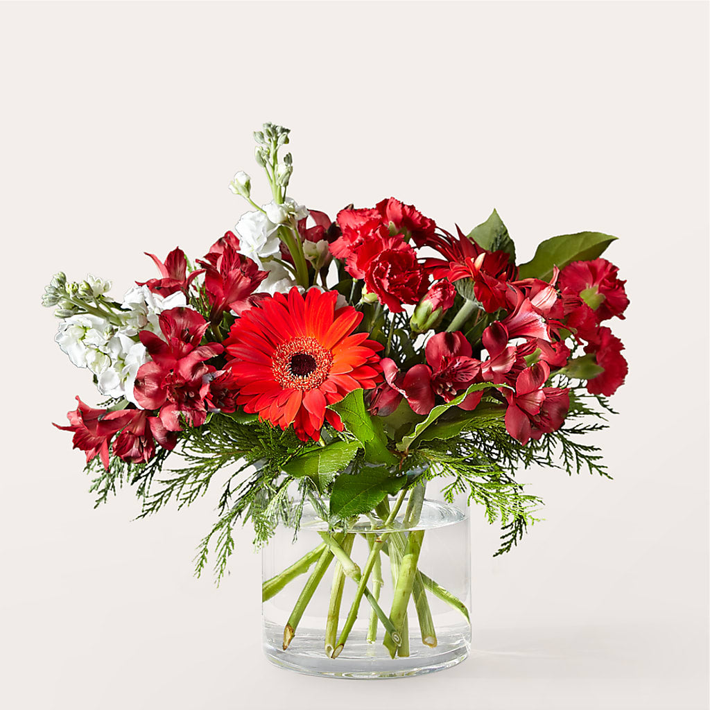 Holidaisy Bouquet – United Market Street, Lubbock TX