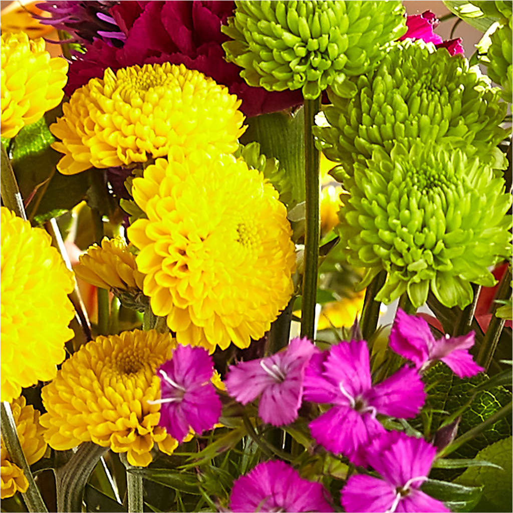 Bold & Bright – A Florist Original –  United Market Street, Lubbock TX