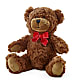 Adorable Plush Bear –  United Market Street, Lubbock TX