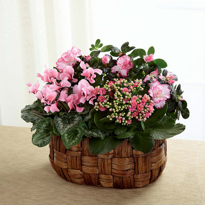 Pink Assortment –  United Market Street, Lubbock TX
