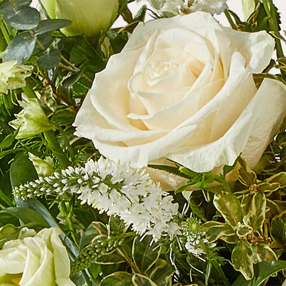 Cashmere Bouquet –  United Market Street, Lubbock TX