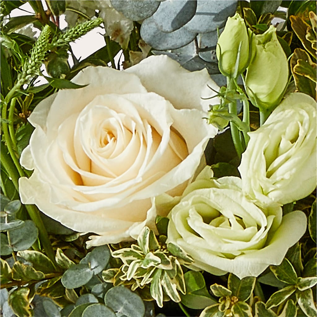 Cashmere Bouquet –  United Market Street, Lubbock TX