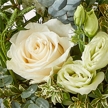 Cashmere Bouquet –  United Market Street, Lubbock TX