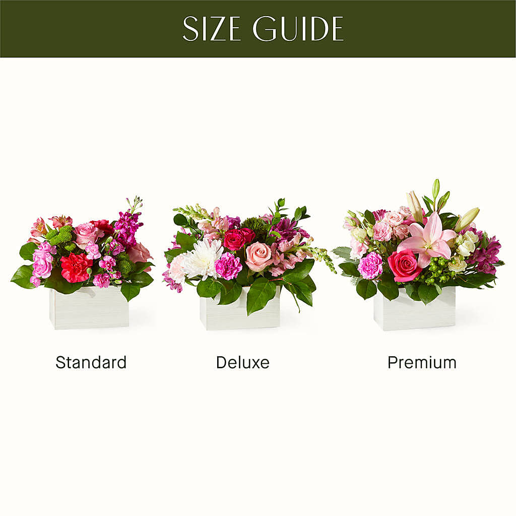 Sweetberry Box – A Florist Original –  United Market Street, Lubbock TX