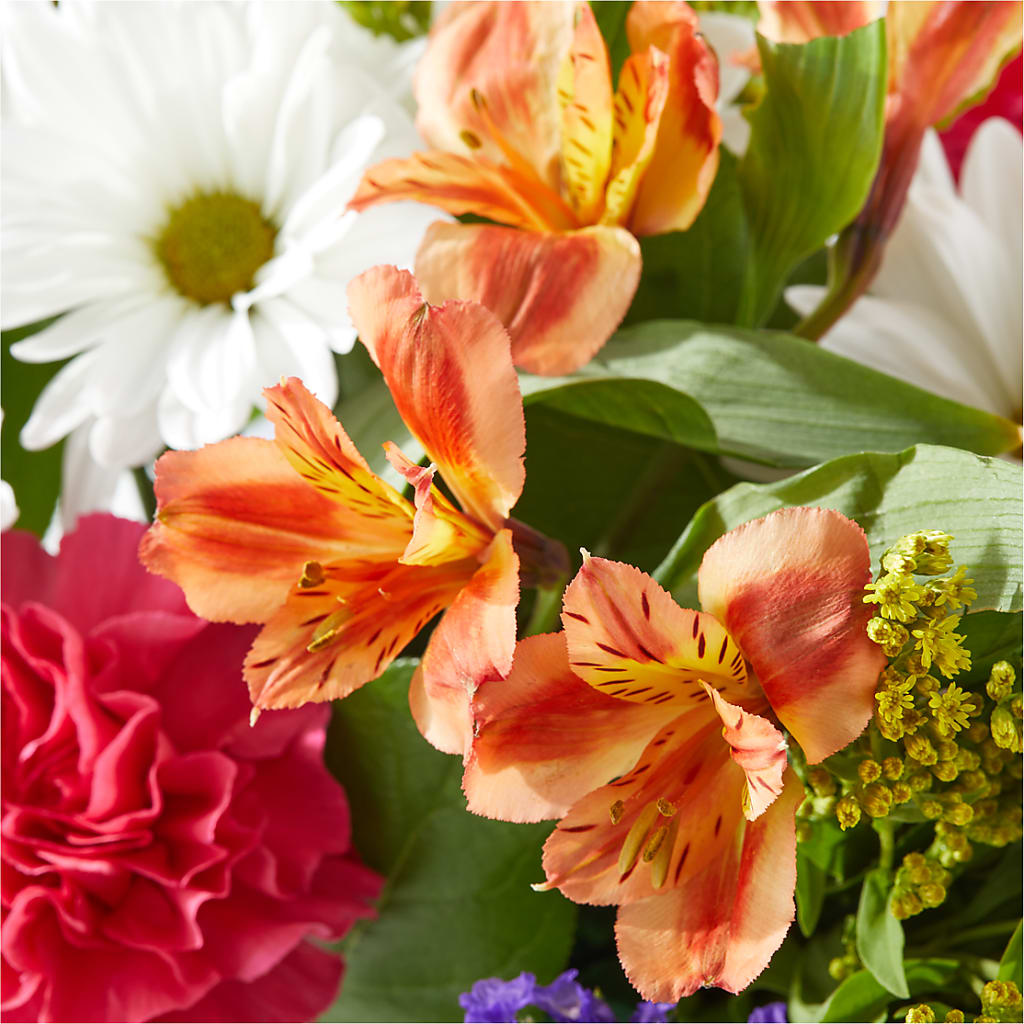 Oopsie Daisy Box Bouquet –  United Market Street, Lubbock TX