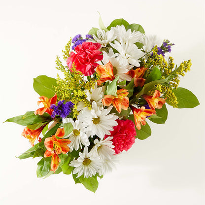 Oopsie Daisy Box Bouquet –  United Market Street, Lubbock TX