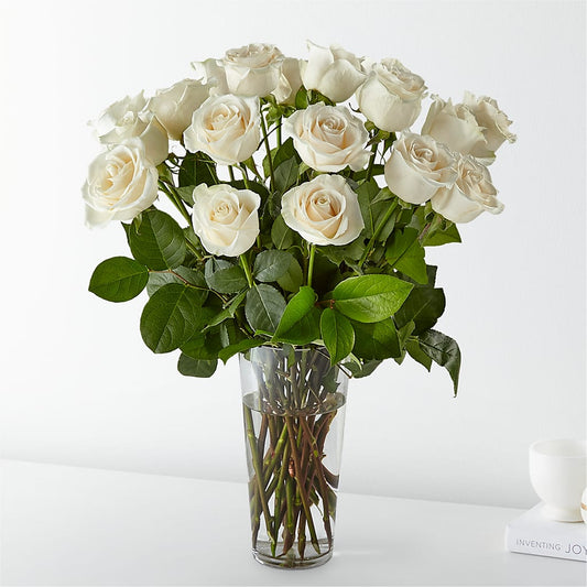 Long Stem White Rose Bouquet –  United Market Street, Lubbock TX