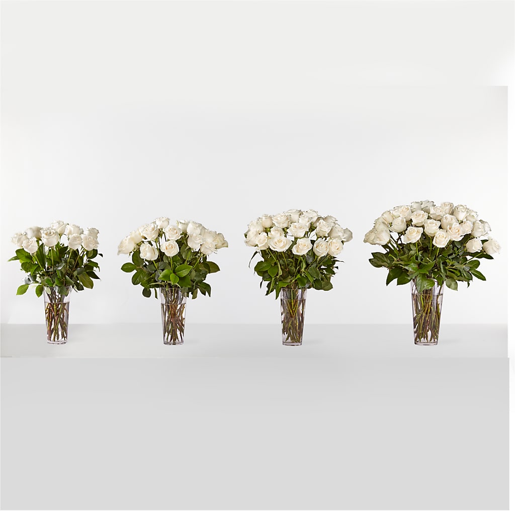 Long Stem White Rose Bouquet –  United Market Street, Lubbock TX