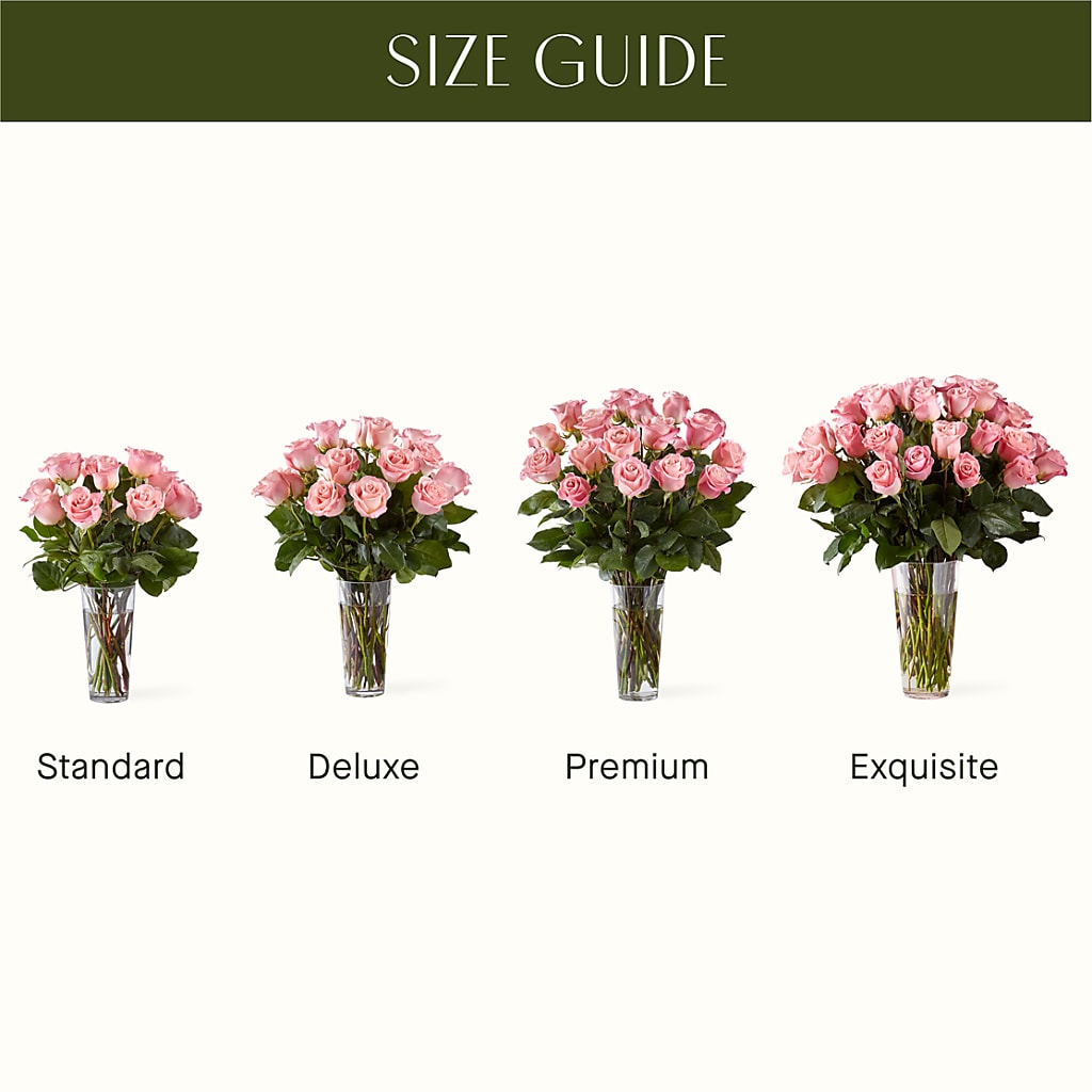 Long Stem Pink Rose Bouquet –  United Market Street, Lubbock TX