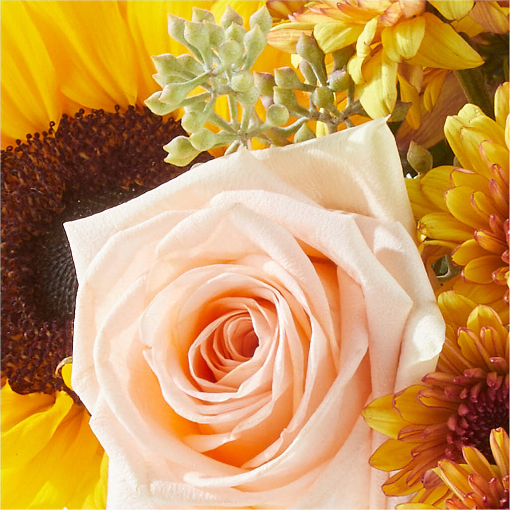 Pumpkin to Talk About Bouquet –  United Market Street, Lubbock TX
