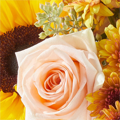 Pumpkin to Talk About Bouquet –  United Market Street, Lubbock TX