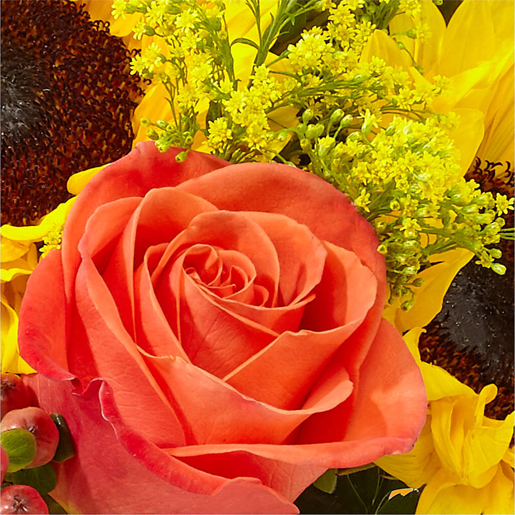 Pick of the Patch Pumpkin Bouquet –  United Market Street, Lubbock TX