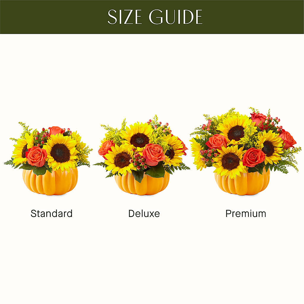 Pick of the Patch Pumpkin Bouquet –  United Market Street, Lubbock TX