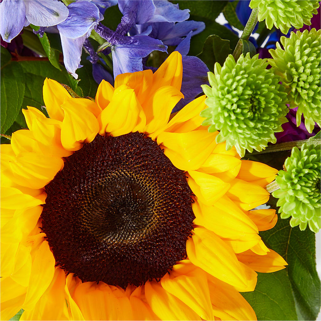 Catching Rays Bouquet –  United Market Street, Lubbock TX