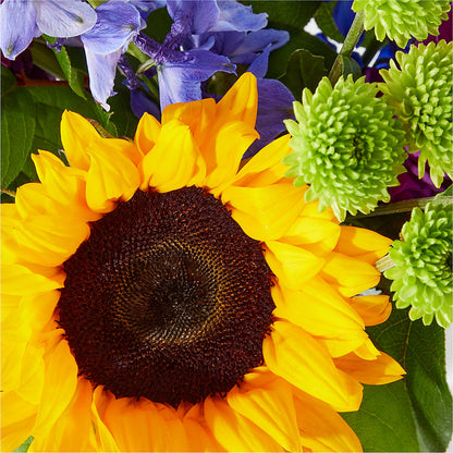 Catching Rays Bouquet –  United Market Street, Lubbock TX