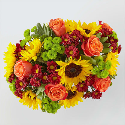 Happy Harvest Garden –  United Market Street, Lubbock TX