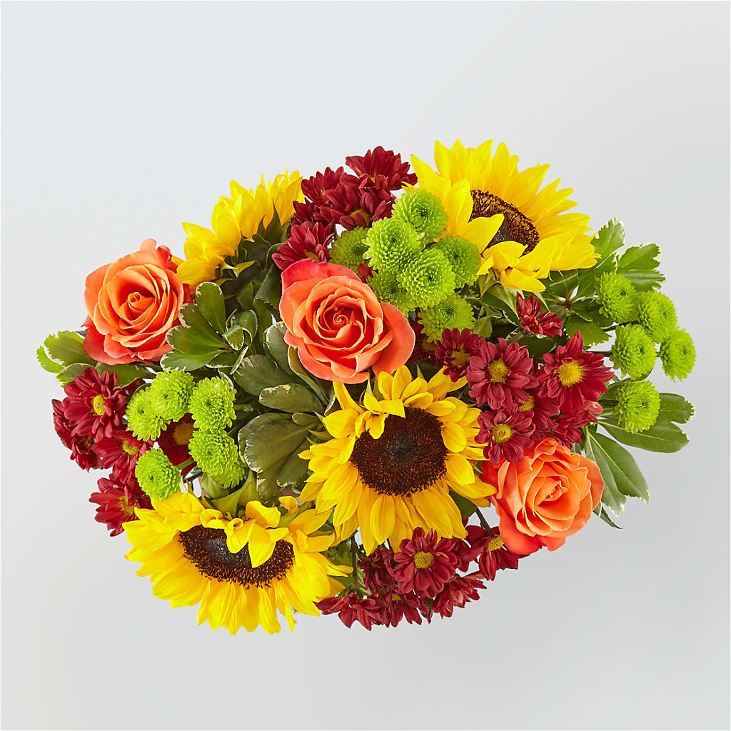 Happy Harvest Garden –  United Market Street, Lubbock TX
