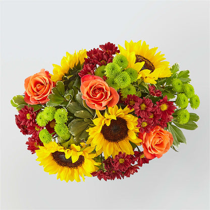 Happy Harvest Garden –  United Market Street, Lubbock TX