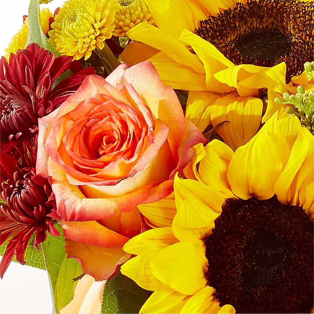 Golden Gourd Pumpkin Bouquet –  United Market Street, Lubbock TX