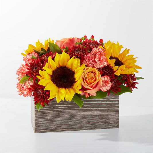 Fresh Cider Bouquet –  United Market Street, Lubbock TX