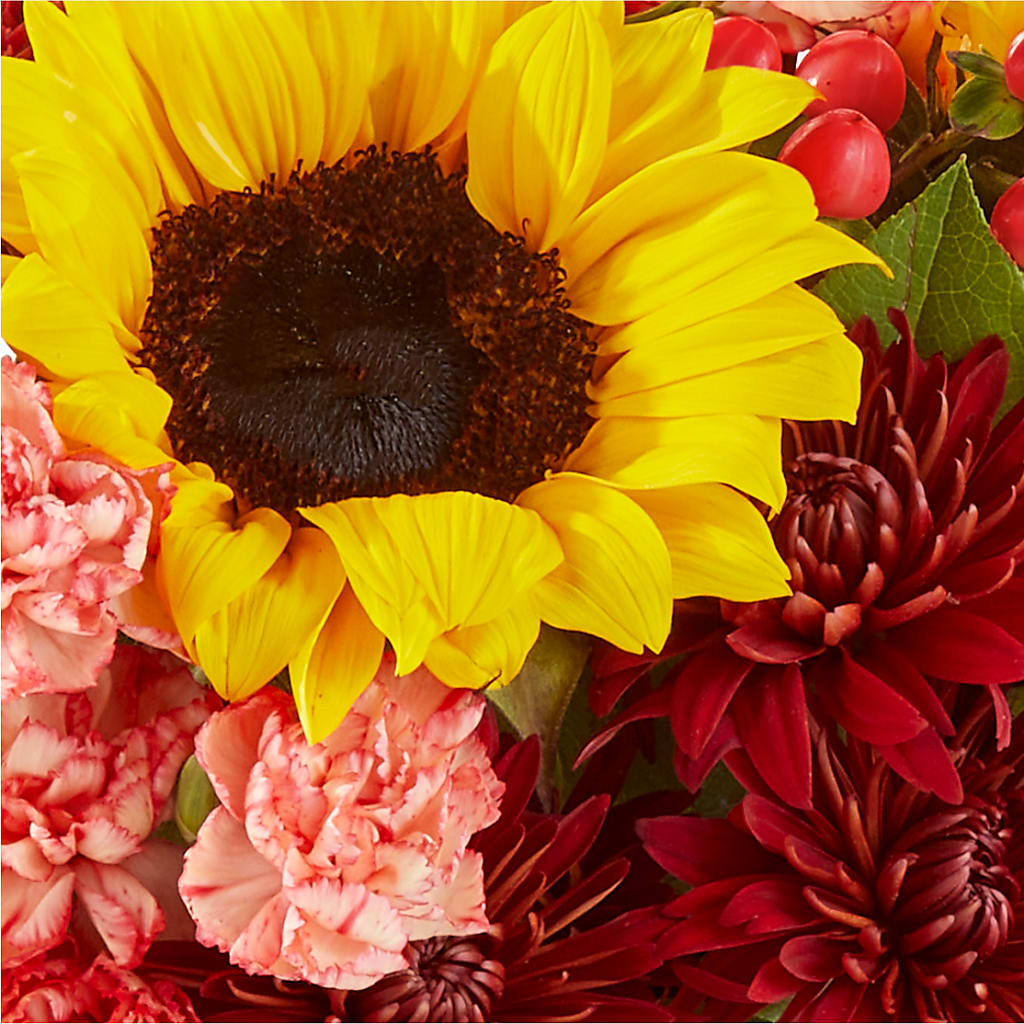 Fresh Cider Bouquet –  United Market Street, Lubbock TX