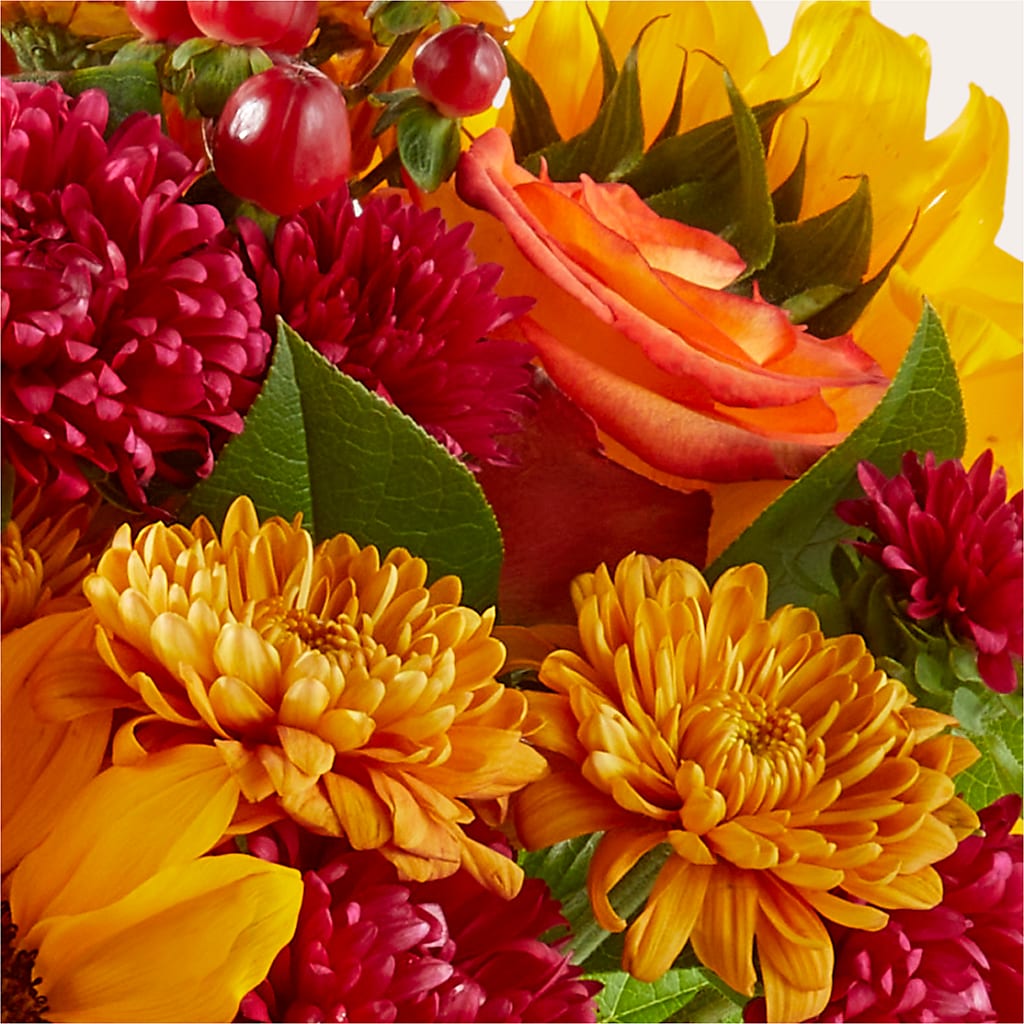 Sweater Season - A Florist Original –  United Market Street, Lubbock TX