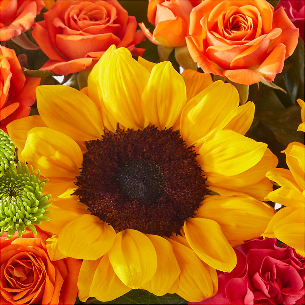 Sun-drenched Blooms Box Bouquet –  United Market Street, Lubbock TX