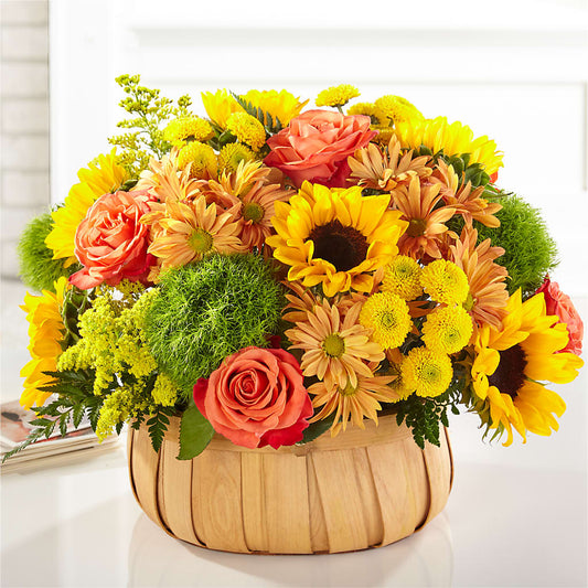 Harvest Sunflower Basket –  United Market Street, Lubbock TX