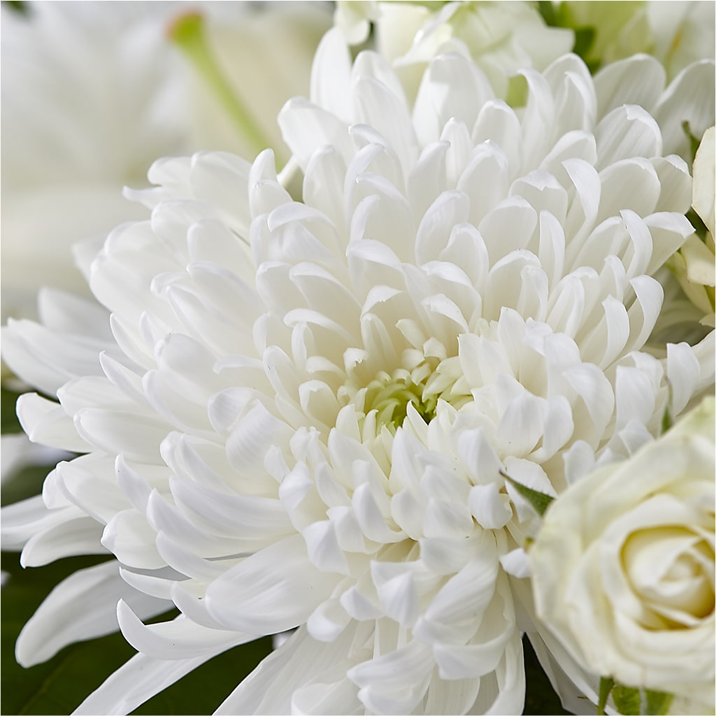 Classic Ivory – A Florist Original – white flower arrangement