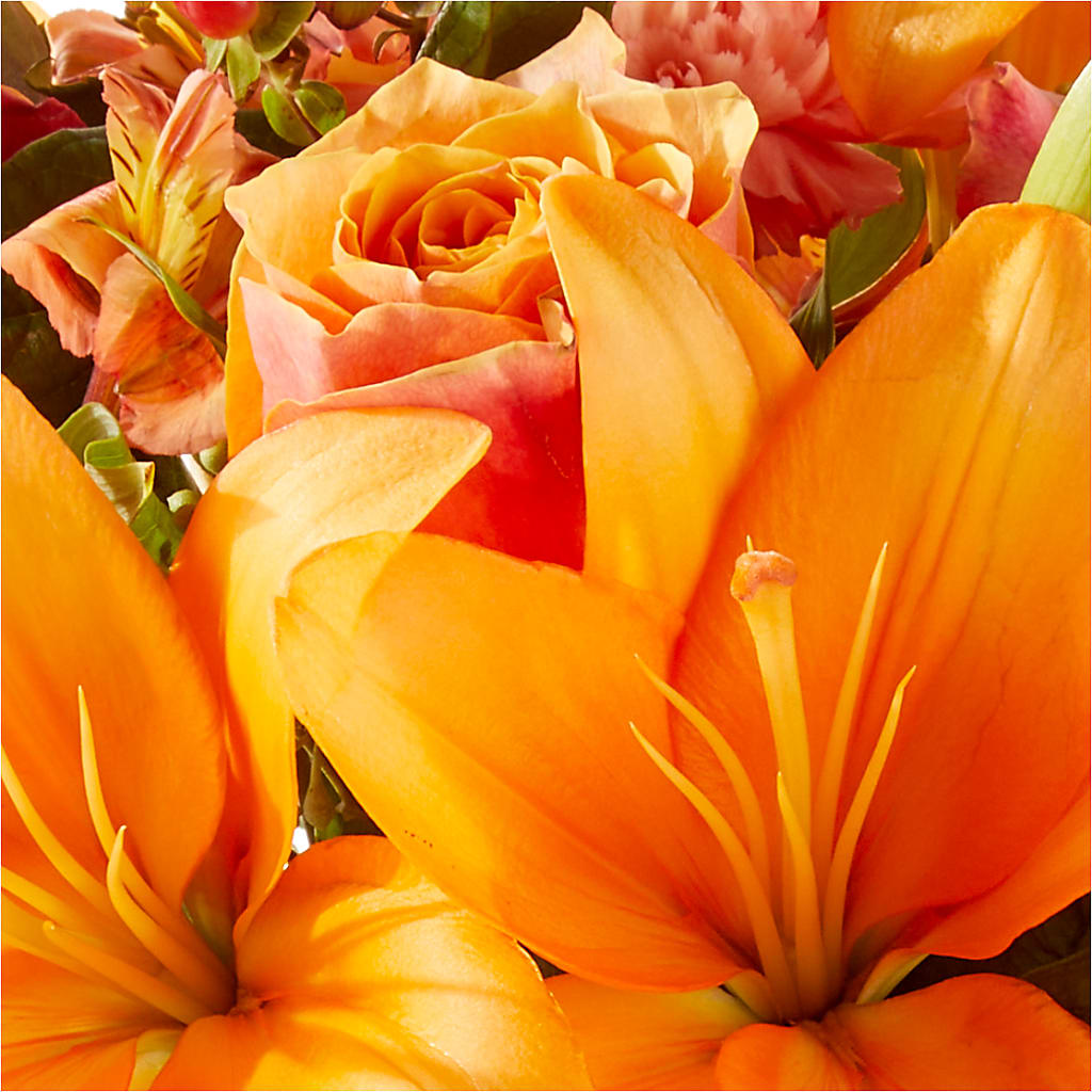 Afternoon Light Bouquet –  United Market Street, Lubbock TX