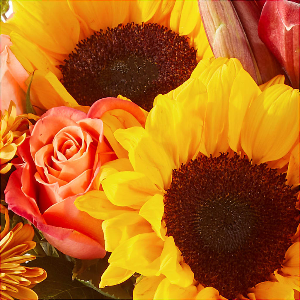 Acorn Lane Bouquet –  United Market Street, Lubbock TX