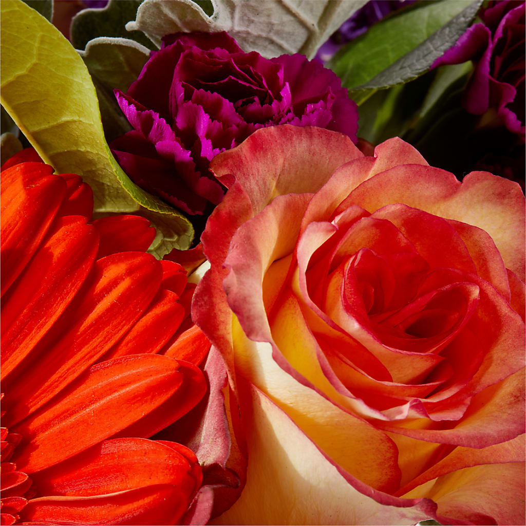 Sangria Bouquet –  United Market Street, Lubbock TX