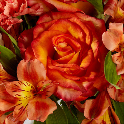 Apricot Glow Bouquet –  United Market Street, Lubbock TX