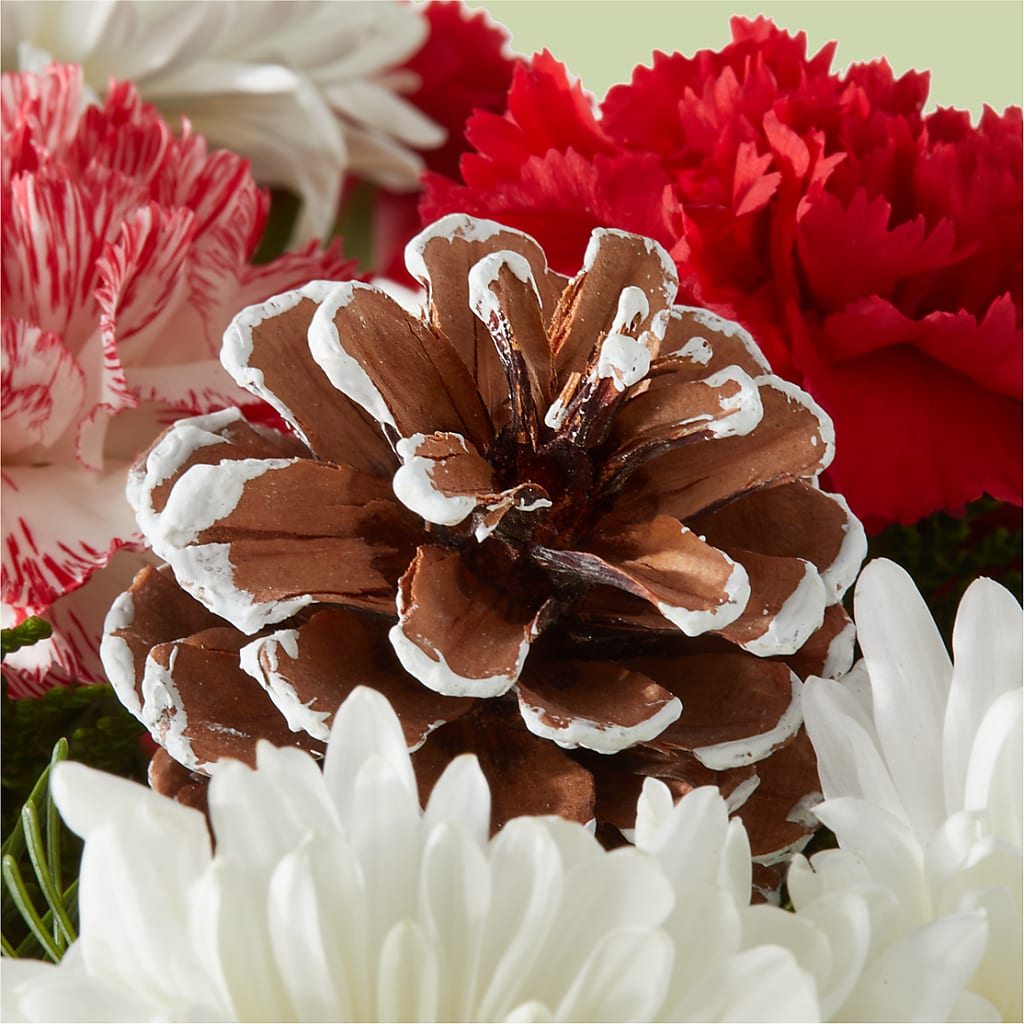Candy Cane Lane Bouquet –  United Market Street, Lubbock TX