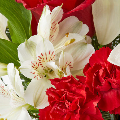Holiday Season Bouquet –  United Market Street, Lubbock TX