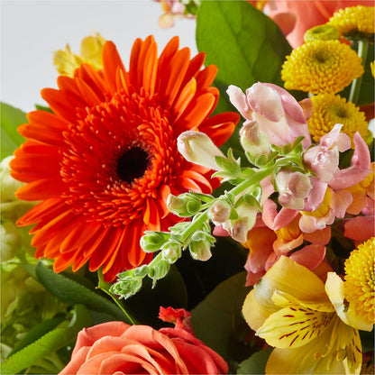 Autumn Sunshine Bouquet –  United Market Street, Lubbock TX