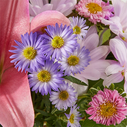 Pirouette Bouquet –  United Market Street, Lubbock TX