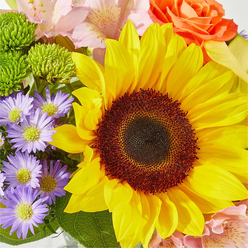Basking in the Glow Bouquet –  United Market Street, Lubbock TX