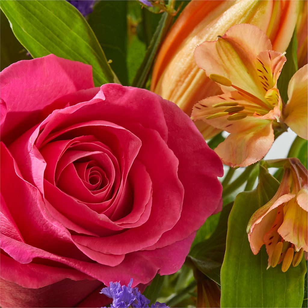 Joyful Bouquet –  United Market Street, Lubbock TX