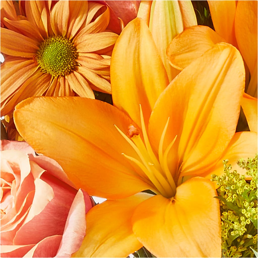 Harvest Hayride Bouquet –  United Market Street, Lubbock TX