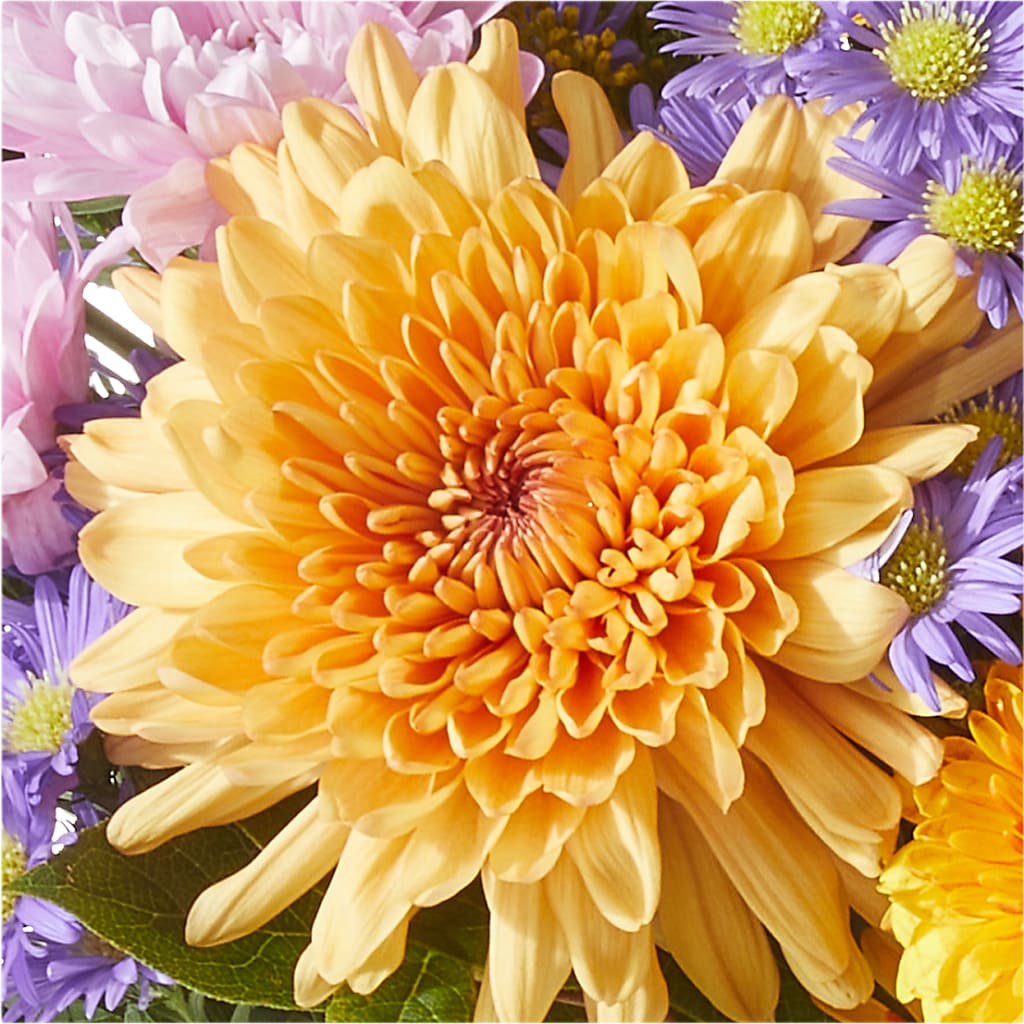 Countryside Bouquet –  United Market Street, Lubbock TX