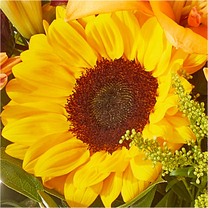 Seasons Change Bouquet –  United Market Street, Lubbock TX