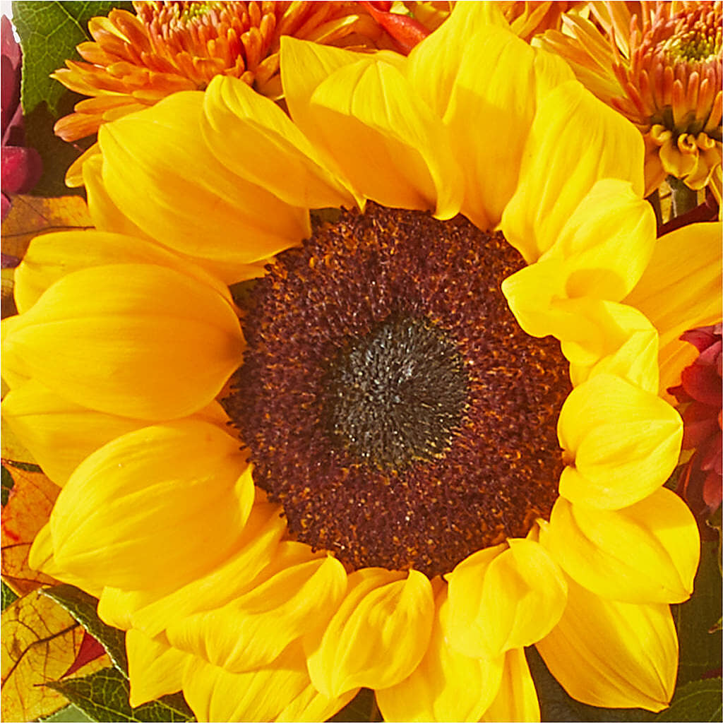 Sunny Side Bouquet –  United Market Street, Lubbock TX