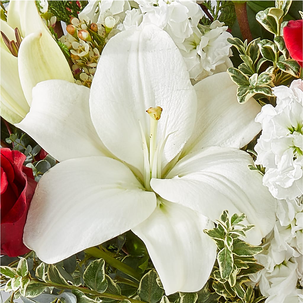 Twinkle Lights Bouquet –  United Market Street, Lubbock TX